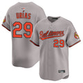 Custom #29 Gray BAL Baseball Shirt Top